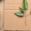 Is hemp paper biodegradable?